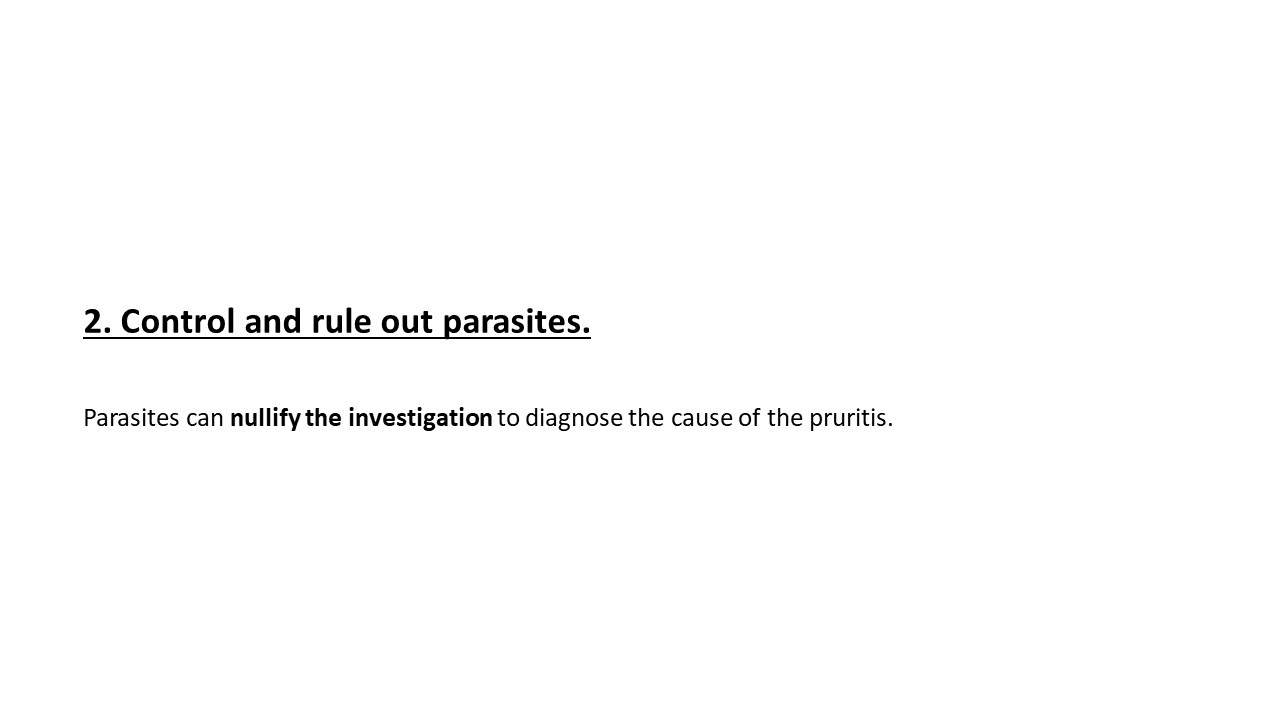 Pruritic_Dog_Webinar_Slide_17.jpg